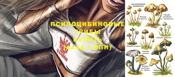 ГАЛЛЮЦИНОГЕННЫЕ ГРИБЫ Осташков