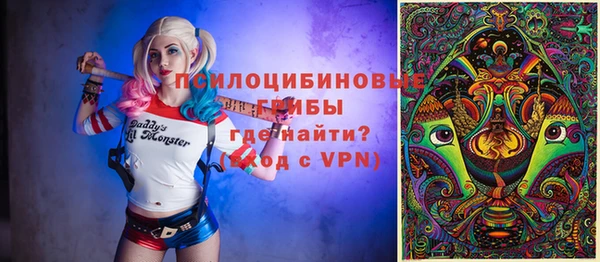 спайс Арсеньев