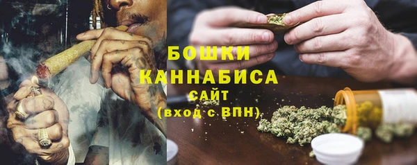 спайс Арсеньев